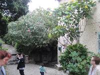 zenphoto/albums/2015/hyeres/13 septembre marché bormes lavandou/leclerc0023.jpg