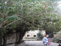 zenphoto/albums/2015/hyeres/13 septembre marché bormes lavandou/leclerc0024.jpg