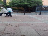 zenphoto/albums/2015/hyeres/13 septembre marché bormes lavandou/liger0002.jpg