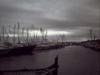zenphoto/albums/2015/hyeres/13 septembre marché bormes lavandou/motte0009.jpg