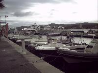 zenphoto/albums/2015/hyeres/13 septembre marché bormes lavandou/motte0014.jpg