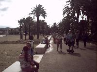 zenphoto/albums/2015/hyeres/13 septembre marché bormes lavandou/motte0018.jpg