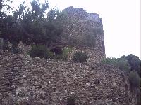 zenphoto/albums/2015/hyeres/13 septembre marché bormes lavandou/motte0031.jpg