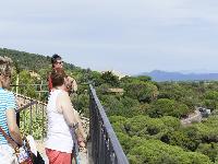 zenphoto/albums/2015/hyeres/15 septembre saint tropez/cherin0104.jpg