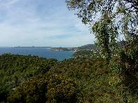 zenphoto/albums/2015/hyeres/15 septembre saint tropez/drouault0051.jpg