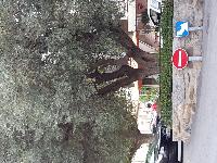 zenphoto/albums/2015/hyeres/15 septembre saint tropez/julien0028.jpg