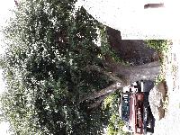 zenphoto/albums/2015/hyeres/15 septembre saint tropez/julien0045.jpg