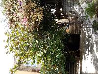 zenphoto/albums/2015/hyeres/15 septembre saint tropez/julien0048.jpg