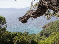 zenphoto/albums/2015/hyeres/15 septembre saint tropez/leclerc0045.jpg