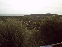 zenphoto/albums/2015/hyeres/15 septembre saint tropez/motte0070.jpg