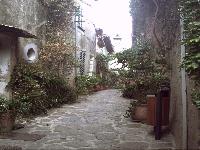 zenphoto/albums/2015/hyeres/15 septembre saint tropez/motte0078.jpg