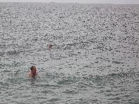 zenphoto/albums/2015/hyeres/16 septembre plage/charpentier0081.jpg