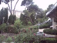 zenphoto/albums/2015/hyeres/16 septembre plage/motte0108.jpg