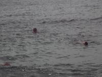 zenphoto/albums/2015/hyeres/16 septembre plage/motte0113.jpg