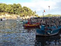 zenphoto/albums/2015/hyeres/17 septembre toulon la rade/charpentier0110.jpg