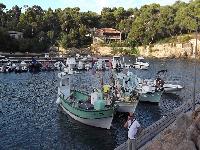 zenphoto/albums/2015/hyeres/17 septembre toulon la rade/charpentier0114.jpg