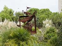 zenphoto/albums/2015/hyeres/17 septembre toulon la rade/cherin0196.jpg