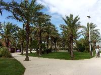 zenphoto/albums/2015/hyeres/17 septembre toulon la rade/drouault0075.jpg