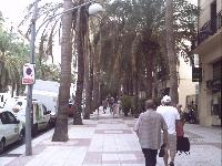 zenphoto/albums/2015/hyeres/17 septembre toulon la rade/motte0115.jpg