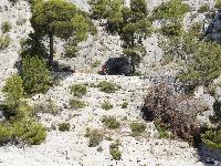 zenphoto/albums/2015/hyeres/18 septembre cassis/cherin0262.jpg