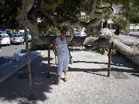 zenphoto/albums/2015/hyeres/18 septembre cassis/cherin0347.jpg