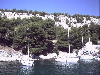 zenphoto/albums/2015/hyeres/18 septembre cassis/motte0157.jpg