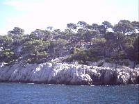 zenphoto/albums/2015/hyeres/18 septembre cassis/motte0161.jpg
