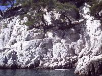zenphoto/albums/2015/hyeres/18 septembre cassis/motte0163.jpg