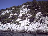 zenphoto/albums/2015/hyeres/18 septembre cassis/motte0166.jpg