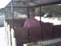 zenphoto/albums/2015/hyeres/18 septembre cassis/motte0178.jpg