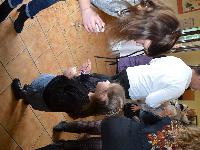 zenphoto/albums/2016/95 lucienne/DSC_0002.jpg