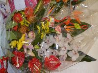 zenphoto/albums/2016/95 lucienne/DSC_0137.jpg