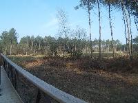 zenphoto/albums/2016/center parc saumur/reduit/16480072.jpg