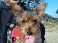 zenphoto/albums/2016/center parc saumur/reduit/17060090.jpg