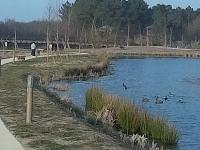 zenphoto/albums/2016/center parc saumur/reduit/17520108.jpg