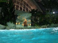 zenphoto/albums/2016/center parc saumur/reduit/19410149.jpg