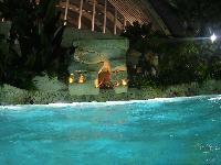 zenphoto/albums/2016/center parc saumur/reduit/19410150.jpg