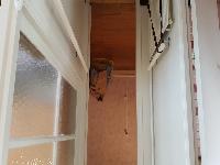 zenphoto/albums/2018/maison maman/reduit/20180830_161354.jpg