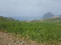 zenphoto/albums/2018/sicile/1 - Arrivée, Hôtel et vue d'hôtel/20180427_150128.jpg