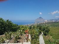 zenphoto/albums/2018/sicile/1 - Arrivée, Hôtel et vue d'hôtel/20180509_132907.jpg