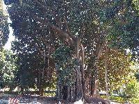 zenphoto/albums/2018/sicile/12 Palerme/20180505_170405.jpg