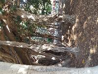 zenphoto/albums/2018/sicile/12 Palerme/20180505_170746_001.jpg