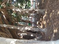 zenphoto/albums/2018/sicile/12 Palerme/20180505_170746_002.jpg