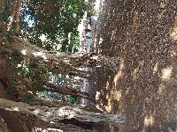 zenphoto/albums/2018/sicile/12 Palerme/20180505_170749.jpg