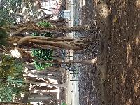 zenphoto/albums/2018/sicile/12 Palerme/20180505_170907.jpg