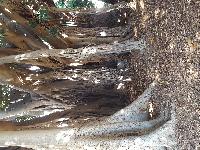 zenphoto/albums/2018/sicile/12 Palerme/20180505_170928.jpg