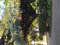 zenphoto/albums/2018/sicile/12 Palerme/20180505_171201.jpg