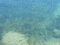 zenphoto/albums/2018/sicile/13 - Castellammare et falaises de Scopello/20180506_111730.jpg