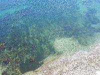 zenphoto/albums/2018/sicile/13 - Castellammare et falaises de Scopello/20180506_112020.jpg