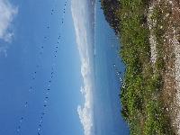 zenphoto/albums/2018/sicile/13 - Castellammare et falaises de Scopello/20180506_122848.jpg